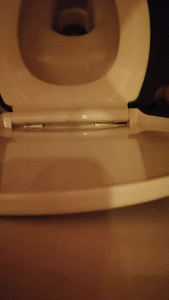 Seducing you and laying a big steamy pile of shit, accidentally dirtying the toilet seat