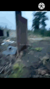 Dookie Queen Outdoor Diarrhea