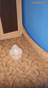 Emergency ScAt