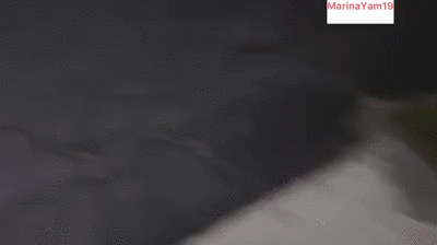 Shit by someones car