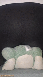 I farted on My Plush Frog