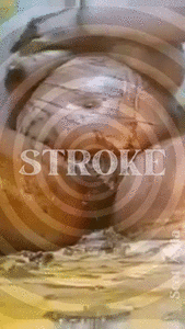 Irresistible! A JOI mesmerization vid