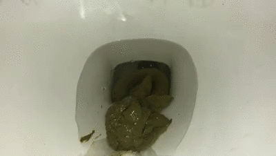 Inside Toilet POV