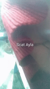 Scat Ayla